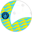 Man City Flags Electric Yellow frame - round